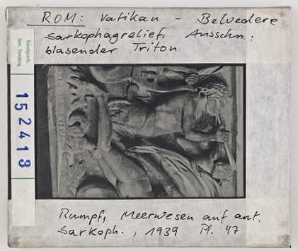 Vorschaubild Rom: Vatikan-Belvedere, Sarkophag-Relief (Detail: blasender Triton) Diasammlung